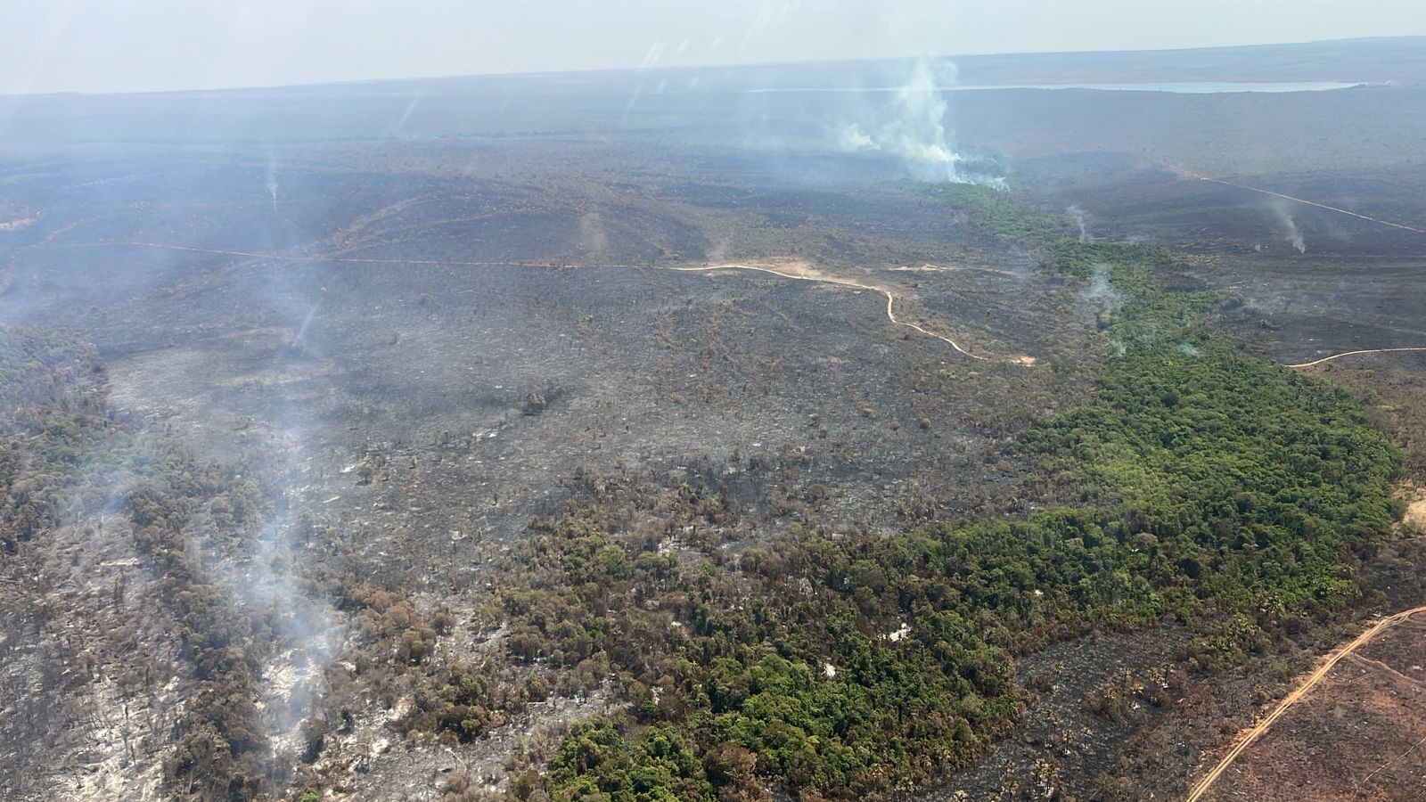 Entenda o que é o incêndio subterrâneo que atinge o Parque Nacional de Brasília