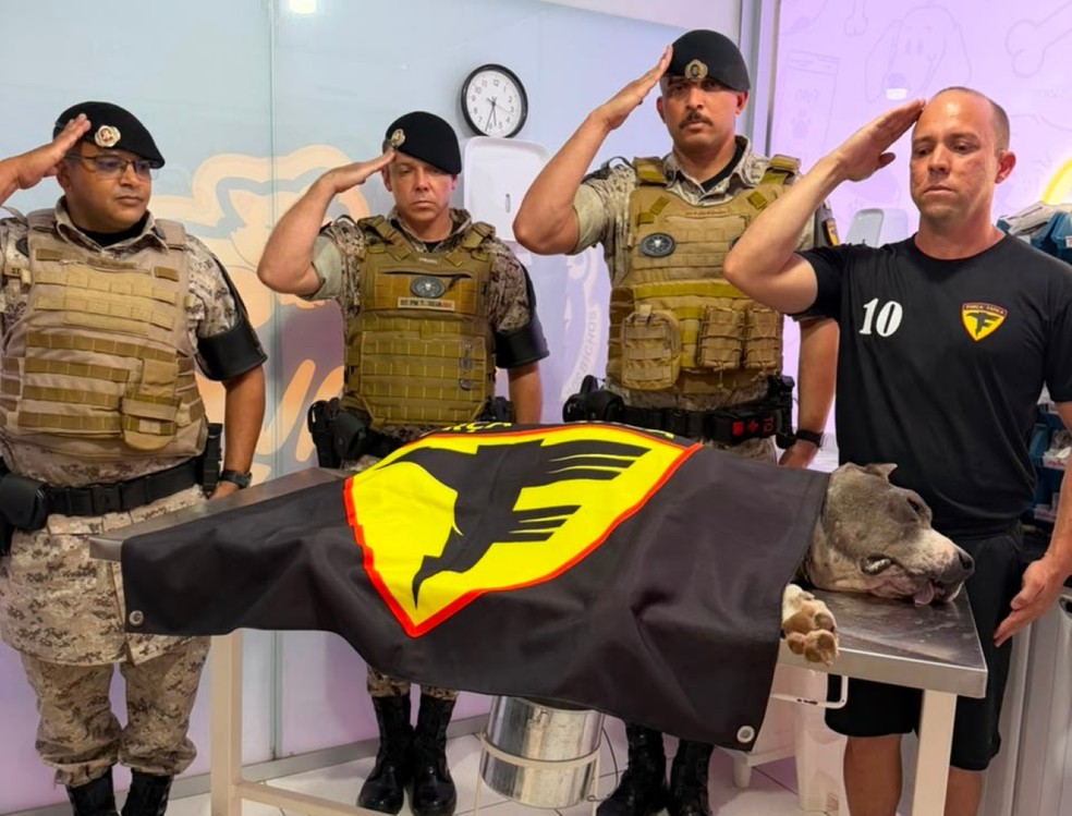 Brasil: perro de la Policía Militar que ayudó a incautar más de tres toneladas de drogas recibe homenaje tras su muerte