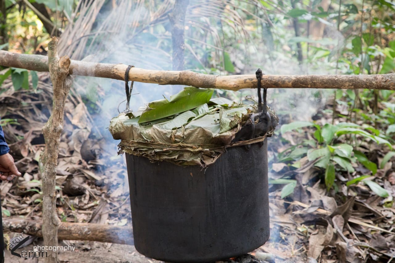 Saiba o que é o chá de Ayahuasca, bebida que casal deu a um adolescente ...