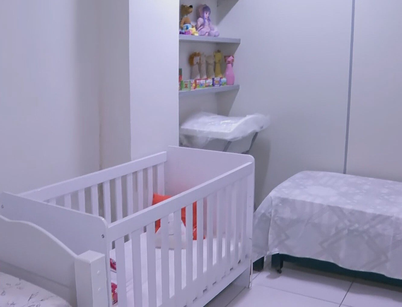 Estados do Nordeste contam com centros de apoio a mulheres vítimas de violência; saiba onde encontrar ajuda