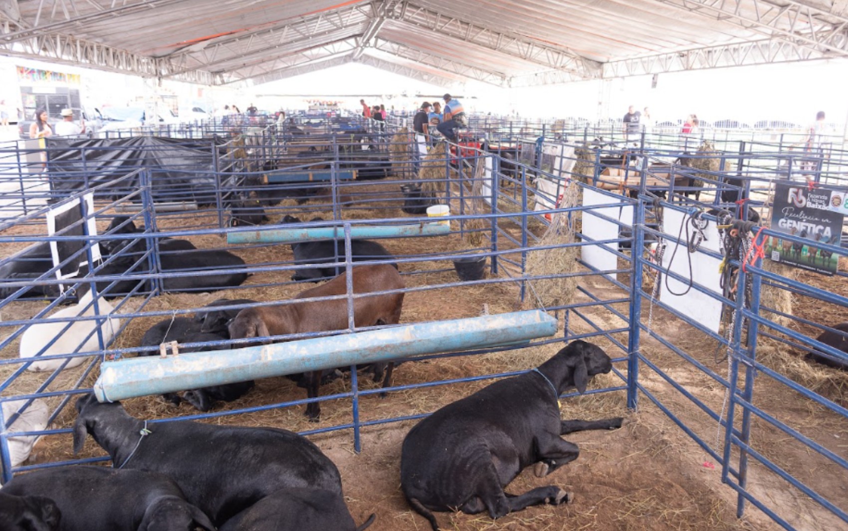 ExpoSerrinha 2026 tem data e novo local definidos; saiba mais