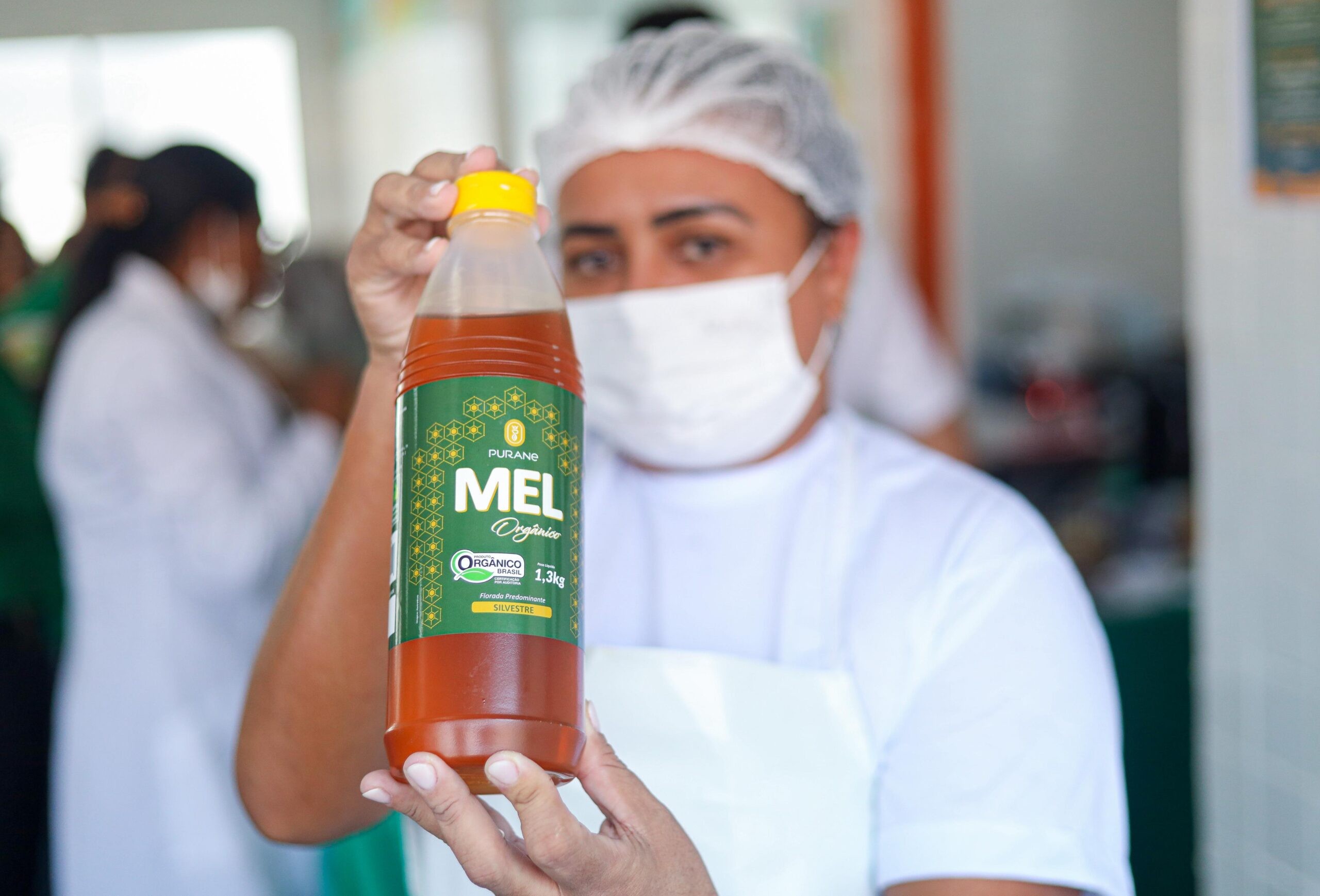 11 toneladas de mel de produtores afetados pelo tarifaço de Trump serão utilizadas na merenda escolar no PI