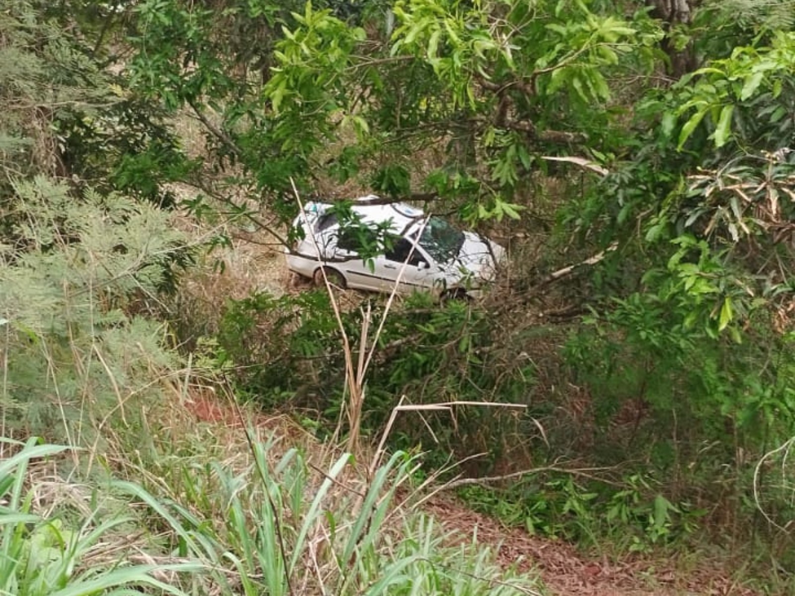 Carro cai em ribanceira após motorista tentar evitar colisão na BR-458, em Ipaba