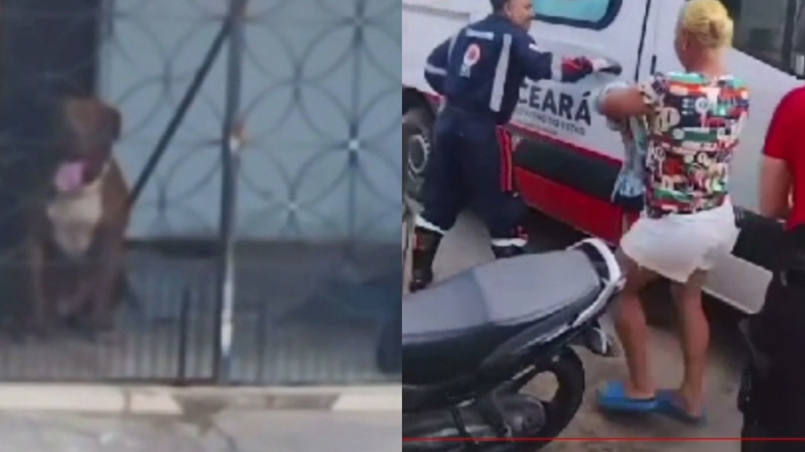 Polícia é acionada para caso de violência doméstica mas descobre que mulher foi atacada por pitbull, na Grande Fortaleza