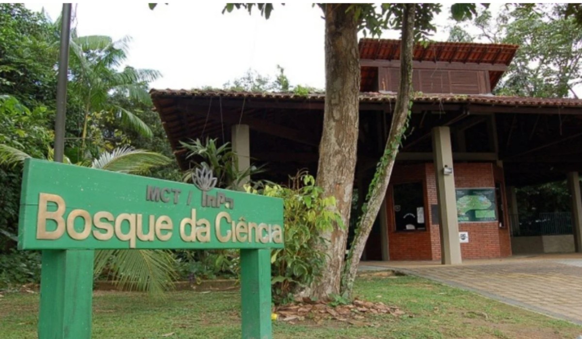 Programação do 'Férias no Bosque' une brincadeiras, esporte e conhecimento científico em Manaus