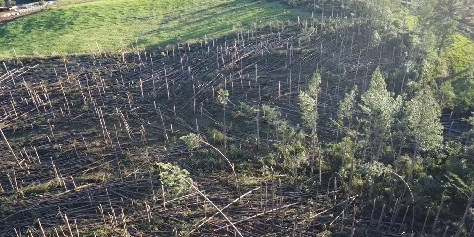 Defesa Civil confirma 4° tornado do ano após queda de árvores e destelhamentos no Oeste de SC