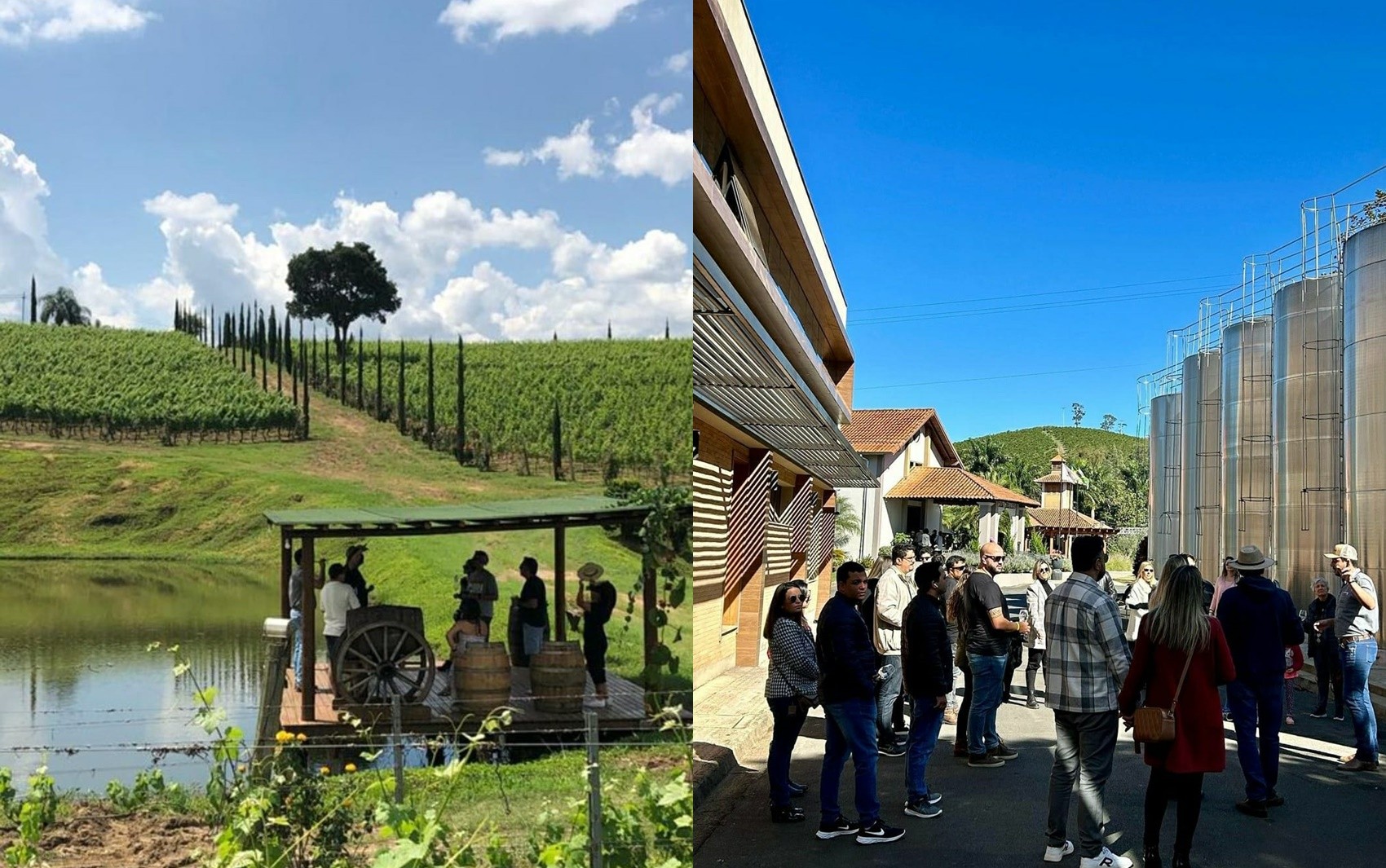 Cafés, azeites e vinhos premiados atraem turistas para região vulcânica da Serra da Mantiqueira