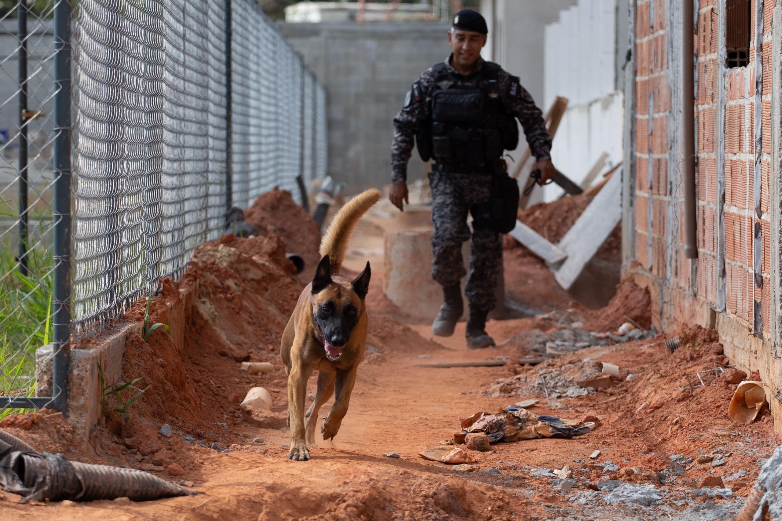 Cão Hulk que ajudou a encontrar 48 toneladas de drogas no RJ visita obras de novo batalhão em Volta Redonda
