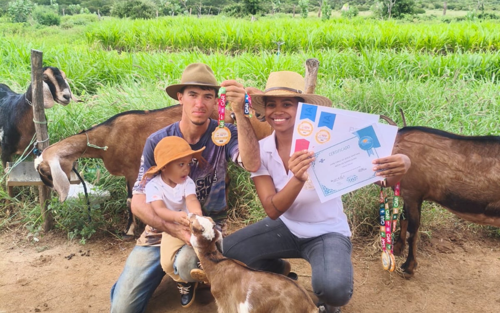 Baiana ganha cabra como salário, vira produtora de queijo e acumula medalhas com produtos premiados