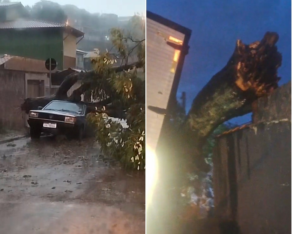 
Chuva de granizo provoca queda de árvores e transtornos em Jundiaí