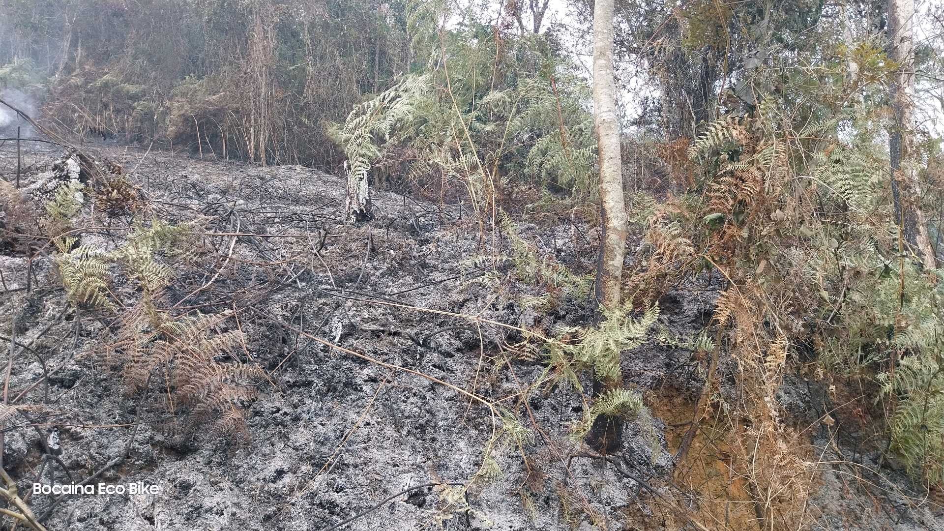 Bombeiros combatem incêndio há três dias na Serra da Bocaina, em Bananal; área atingida equivale a mais de 375 campos de futebol