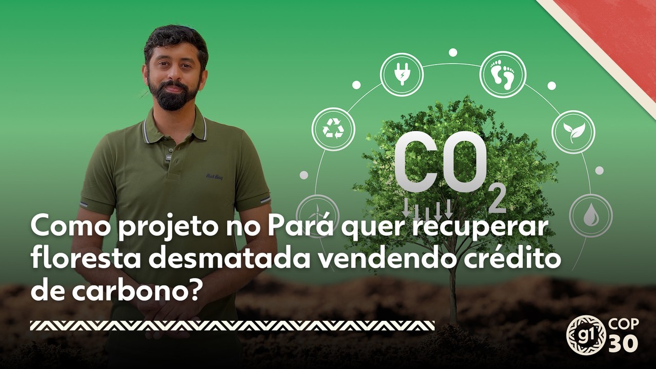 Como projeto no Pará quer recuperar floresta desmatada vendendo crédito de carbono?