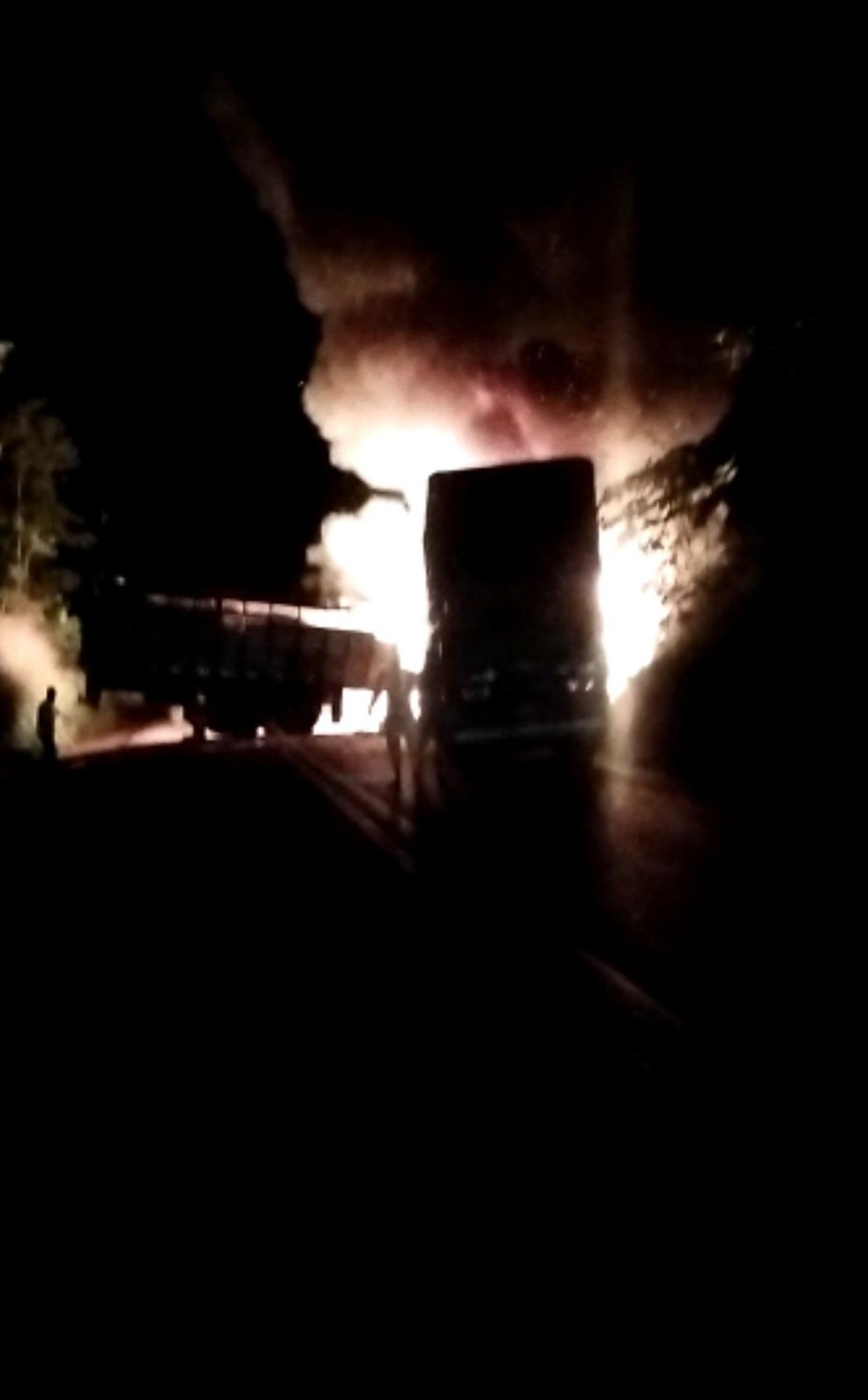 Acidente na Br-364 envolvendo dois caminhões boiadeiros. — Foto: Jaru On-line/Reprodução