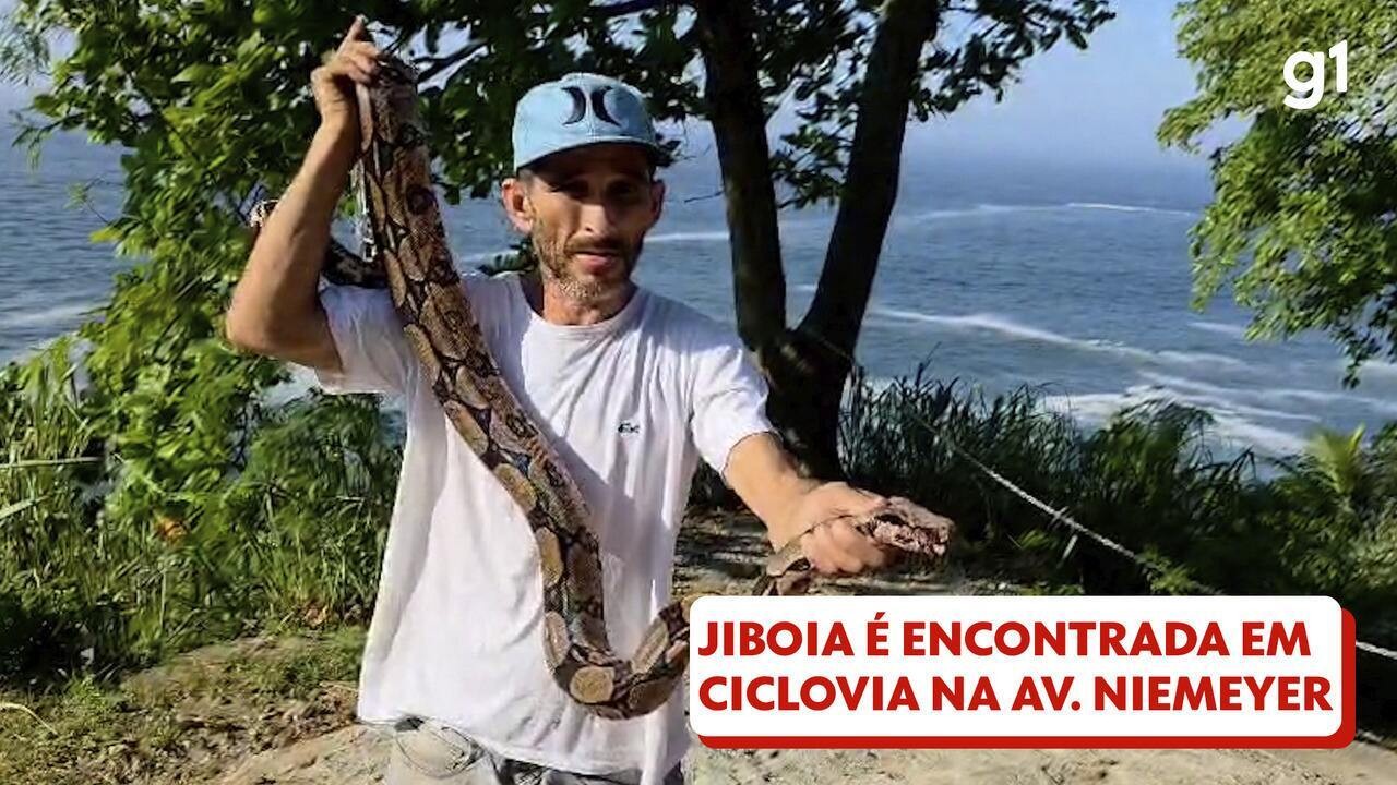 Jiboia ére Resgatada na ciclovia da av. Niemeyer, na zona sul do Rio