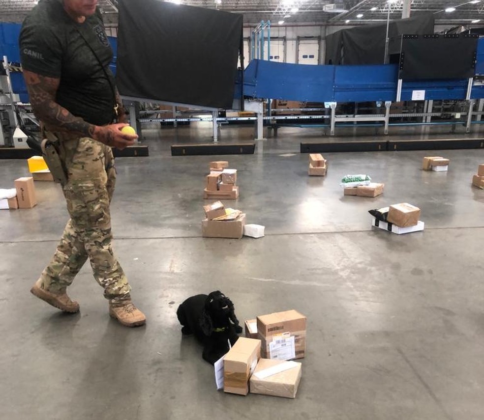 Ação contou com ajuda de um cão farejador da Polícia Civil — Foto: Cândido Vinícius/PC-BA