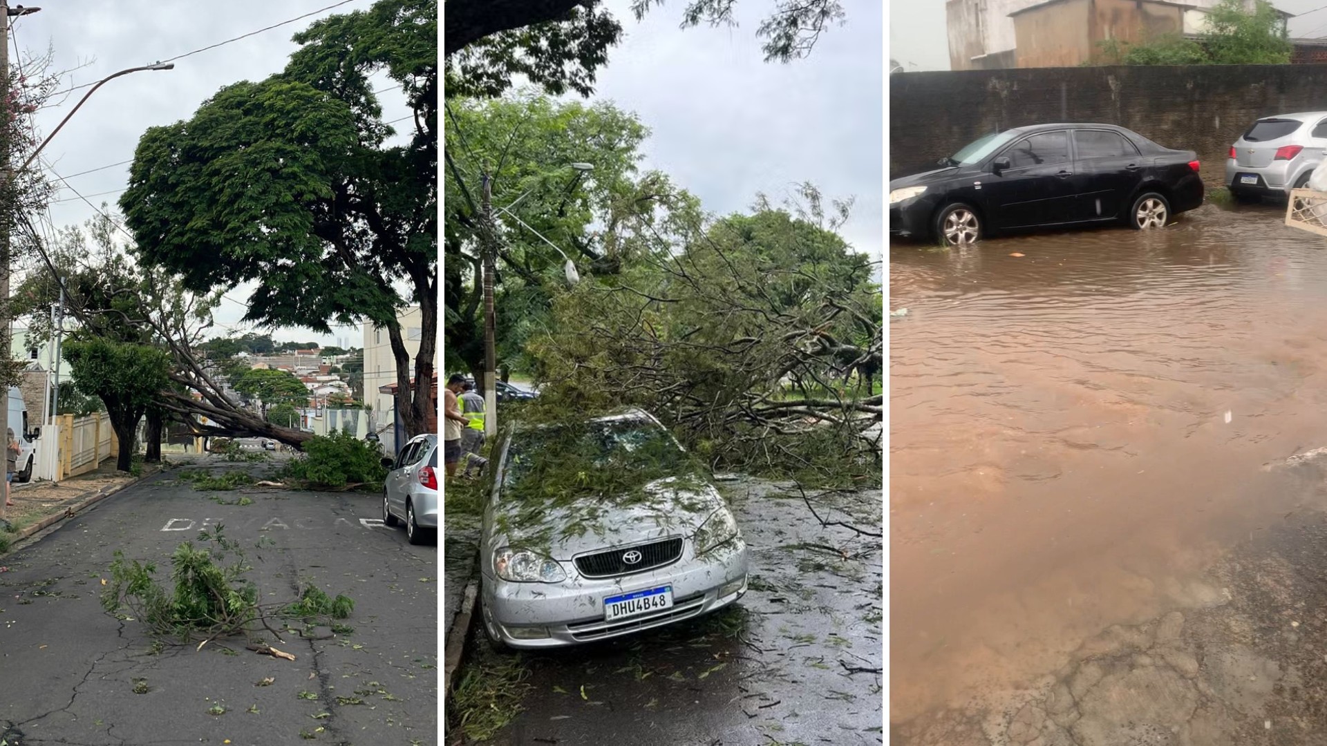 Chuva de granizo derruba 39 árvores, alaga ruas e deixa feridos na região de Campinas; veja balanço