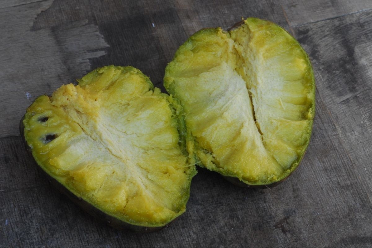 Araticum: 6 curiosidades sobre a fruta do Cerrado que amadurece em poucos dias e é muito doce