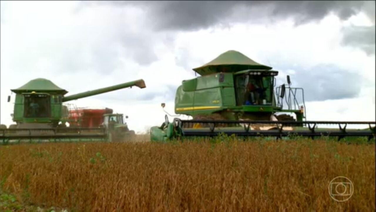 Brasil recebe cúpula do Ministério da Agricultura da China em meio a 'tarifaços' de Trump e supersafra