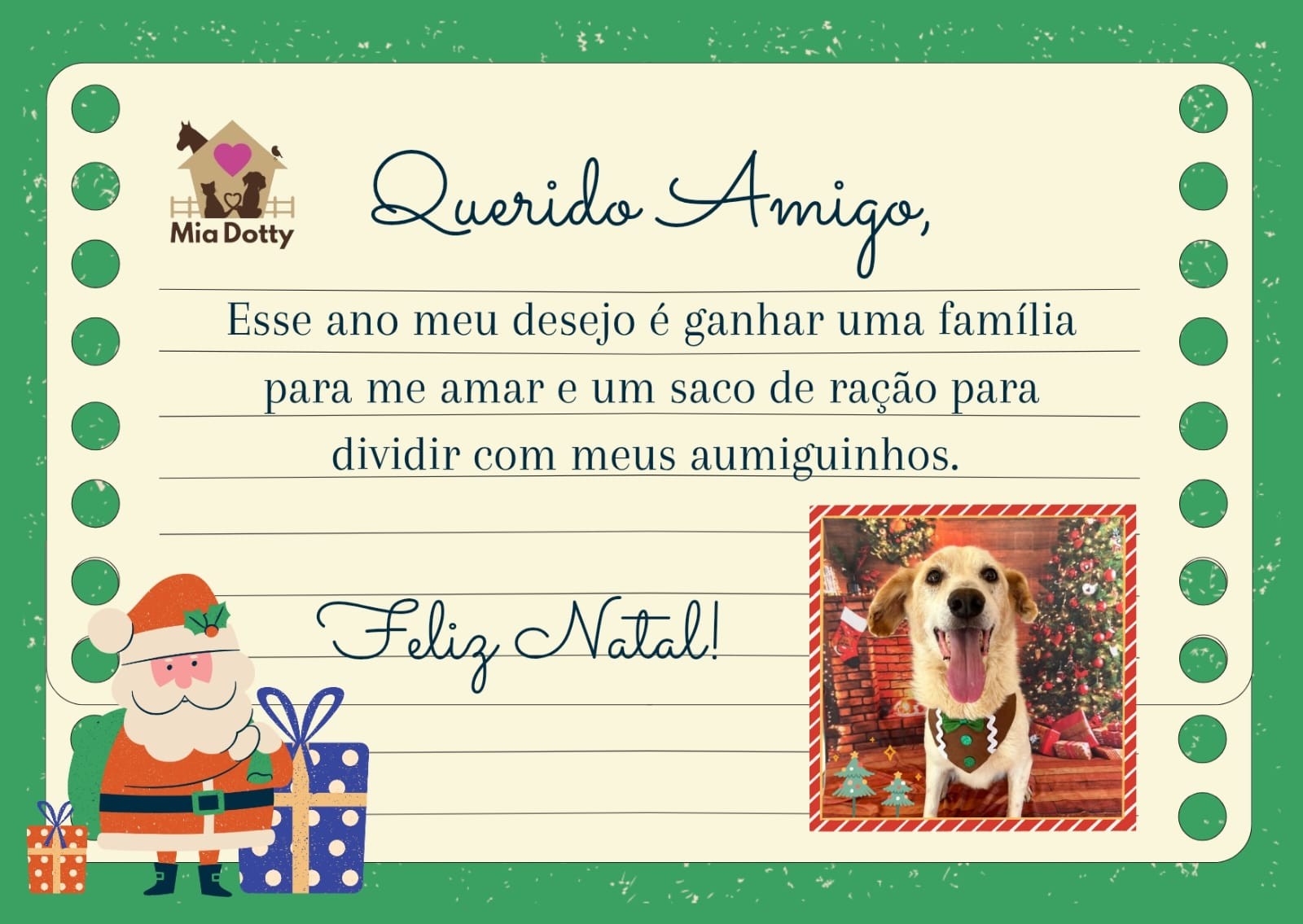 Animais 'escrevem' cartinhas para pedir adoção como presente de Natal: 'Meu desejo é ganhar uma família'