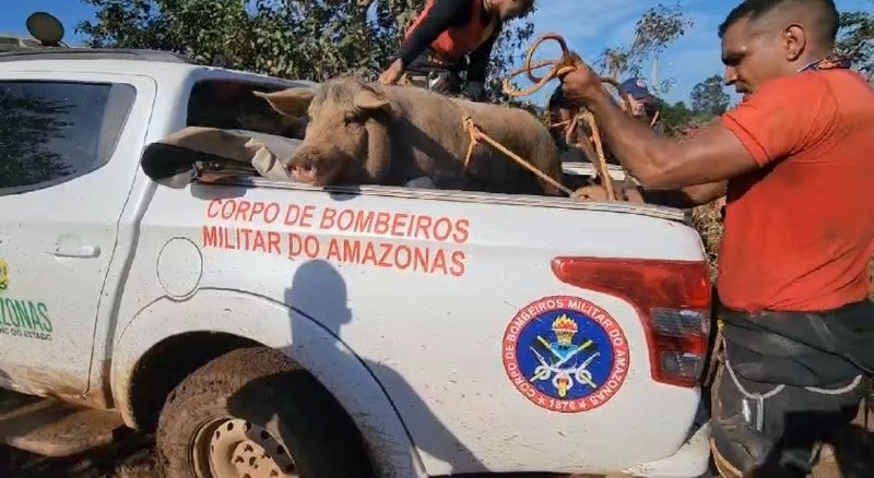 Bombeiros do AM já atuaram em cinco municípios do Rio Grande do Sul com ações de busca e resgate