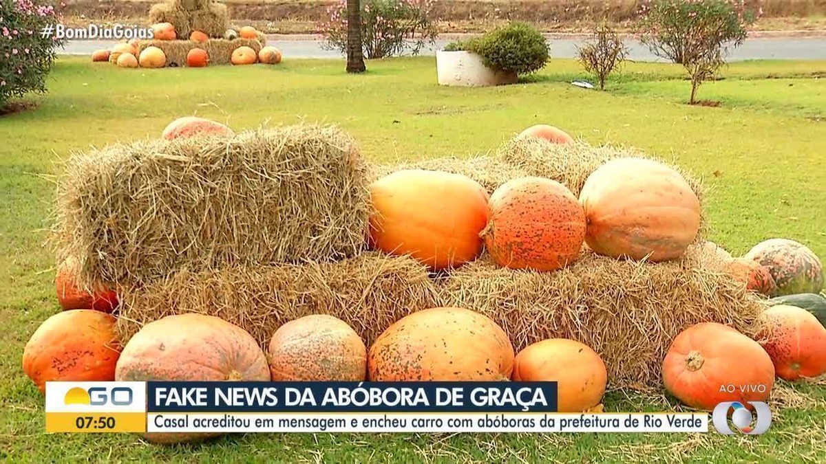 Mundo Gloob - E aí, quantas abóboras você consegue