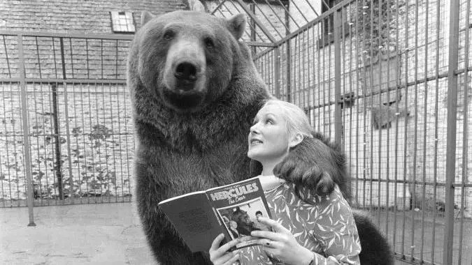 A história extraordinária de Hércules, o urso que um casal adotou e criou como parte da família