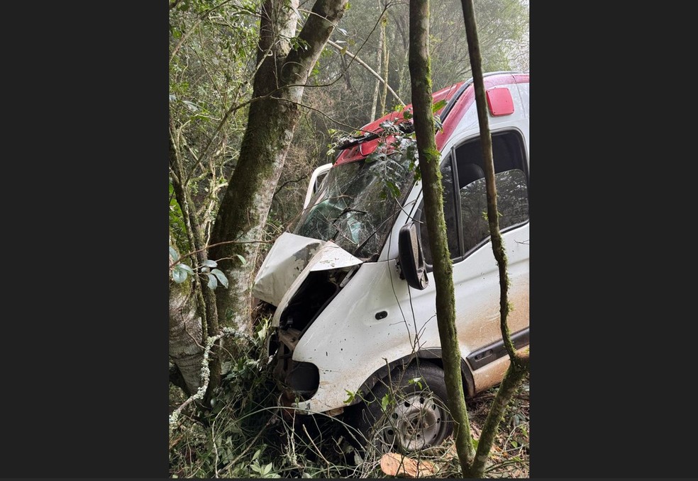 Falsa ambulância bateu em árvore em Celso Ramos, SC — Foto: PMRv/Divulgação