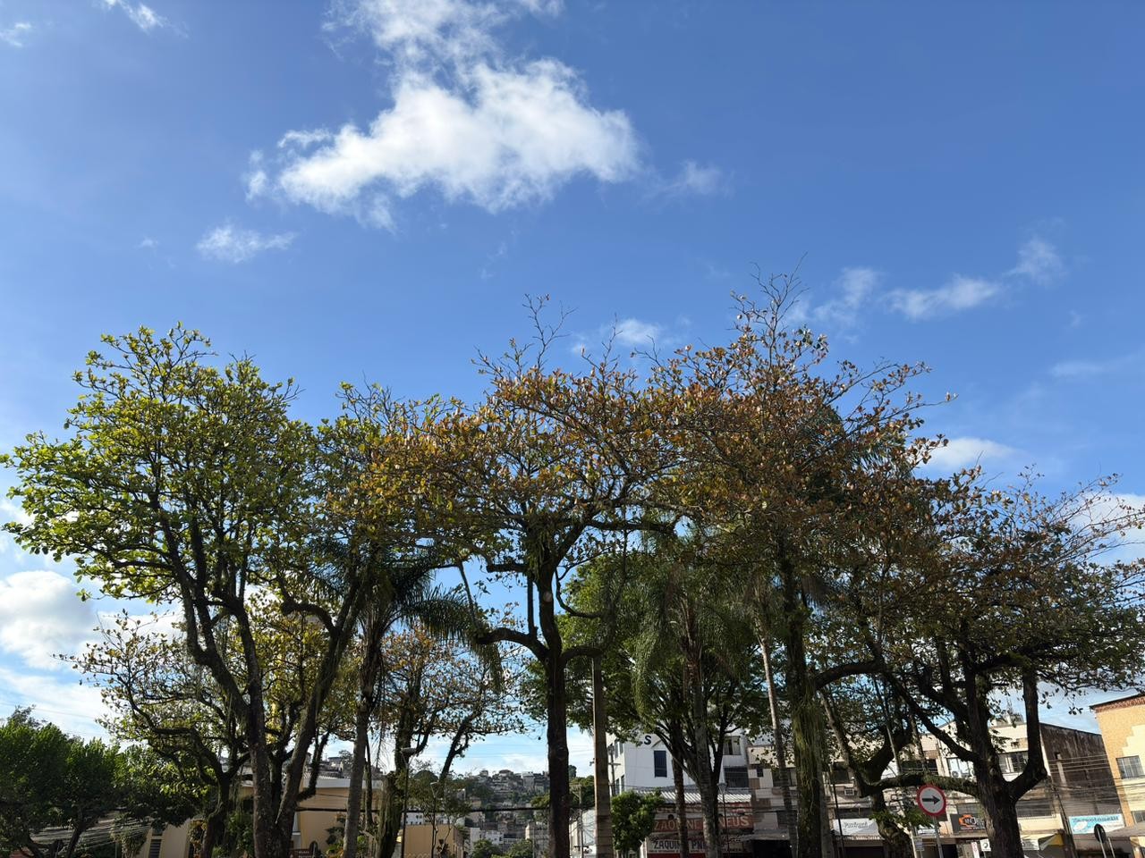 Chuva perde força em Juiz de Fora após mortes e estragos; veja previsão 