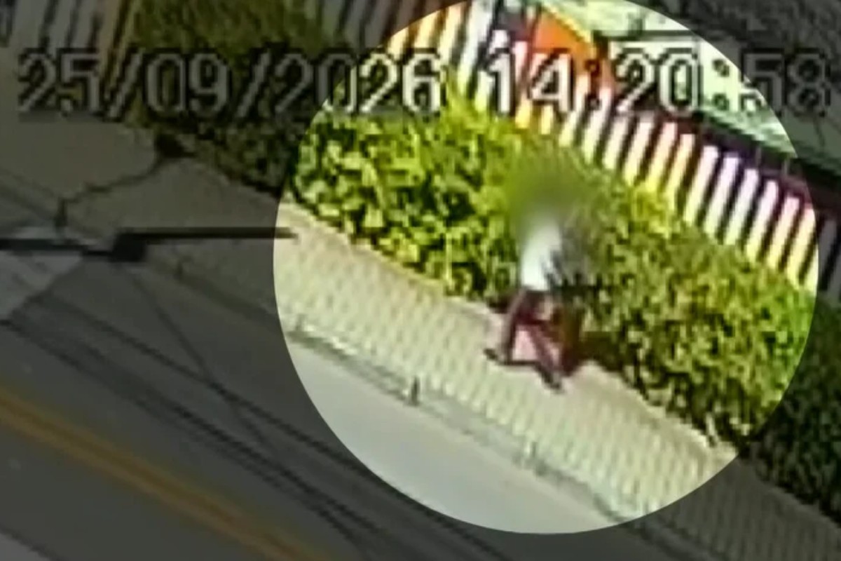 VÍDEO: menino autista foge de escola por portão aberto, passa por mercearia e chega em casa com ajuda de vizinho em Curitiba: 'Fiquei paralisada', diz mãe