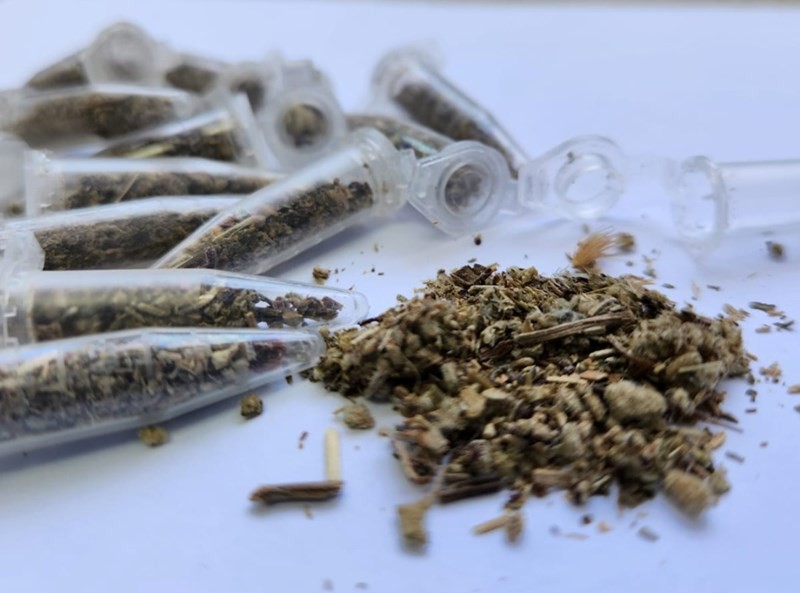 Polícia identifica drogas K no ES, após maior apreensão da substância que pode causar hemorragia cerebral e levar à morte