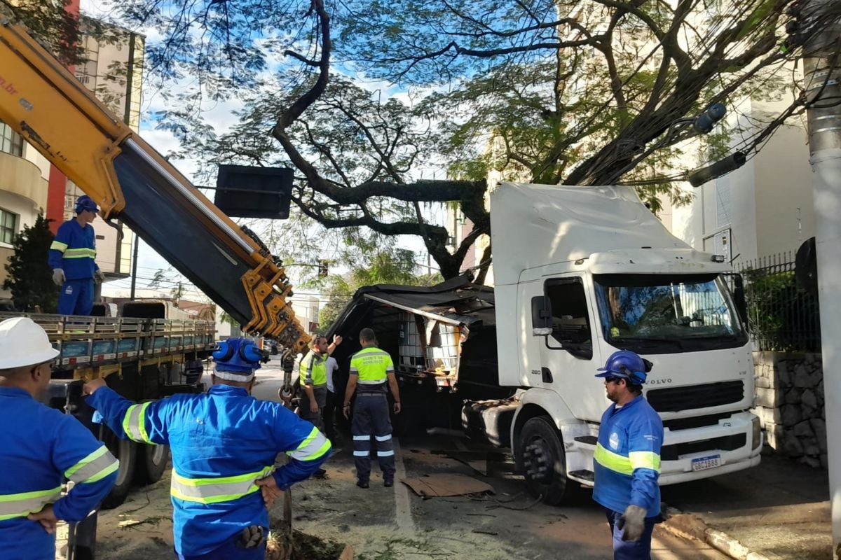 Caminhão bate em árvore e interdita trecho da avenida São João, em São José dos Campos