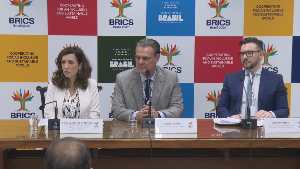 Grupo de Trabalho da Agricultura do Brics se reuniu no Itamaraty. — Foto: Hélio Marinho/TV Globo