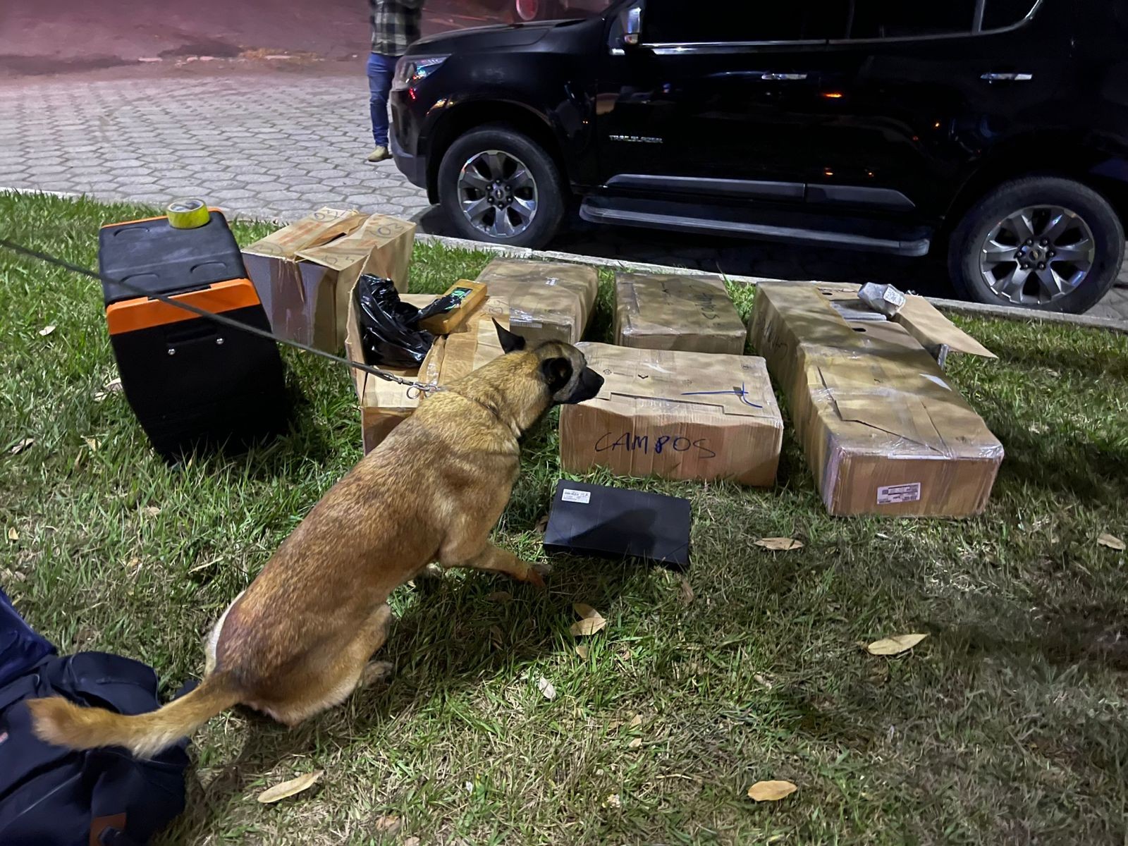 Jovens são presos com 200 kg de drogas na Via Dutra
