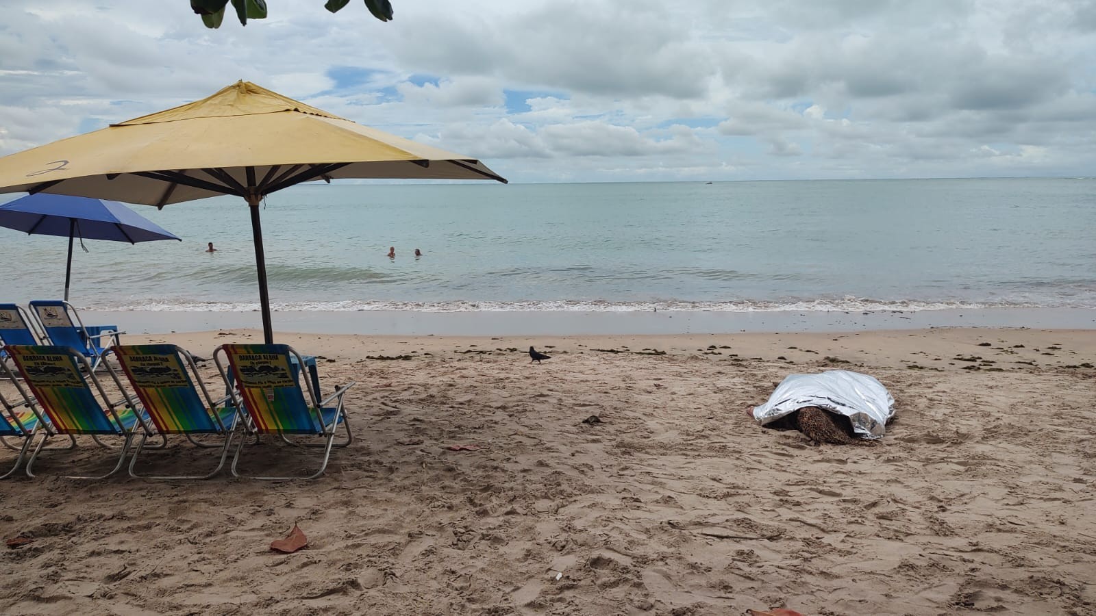 Necropsia aponta causa da morte de turista argentina na praia da Ponta Verde, em Maceió