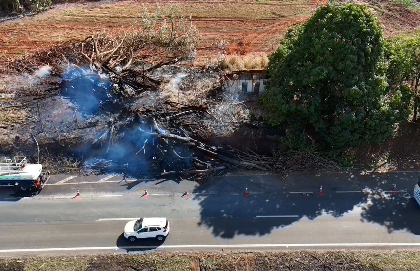 Família diz que houve negligência na queda de árvore em chamas que matou músico na volta da lua de mel em rodovia de SP