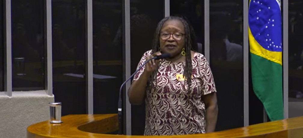 Creuza Oliveira foi a primeira presidente do Sindicato dos Trabalhadores Domésticos da Bahia.  — Foto: Reprodução/Câmara dos Deputados
