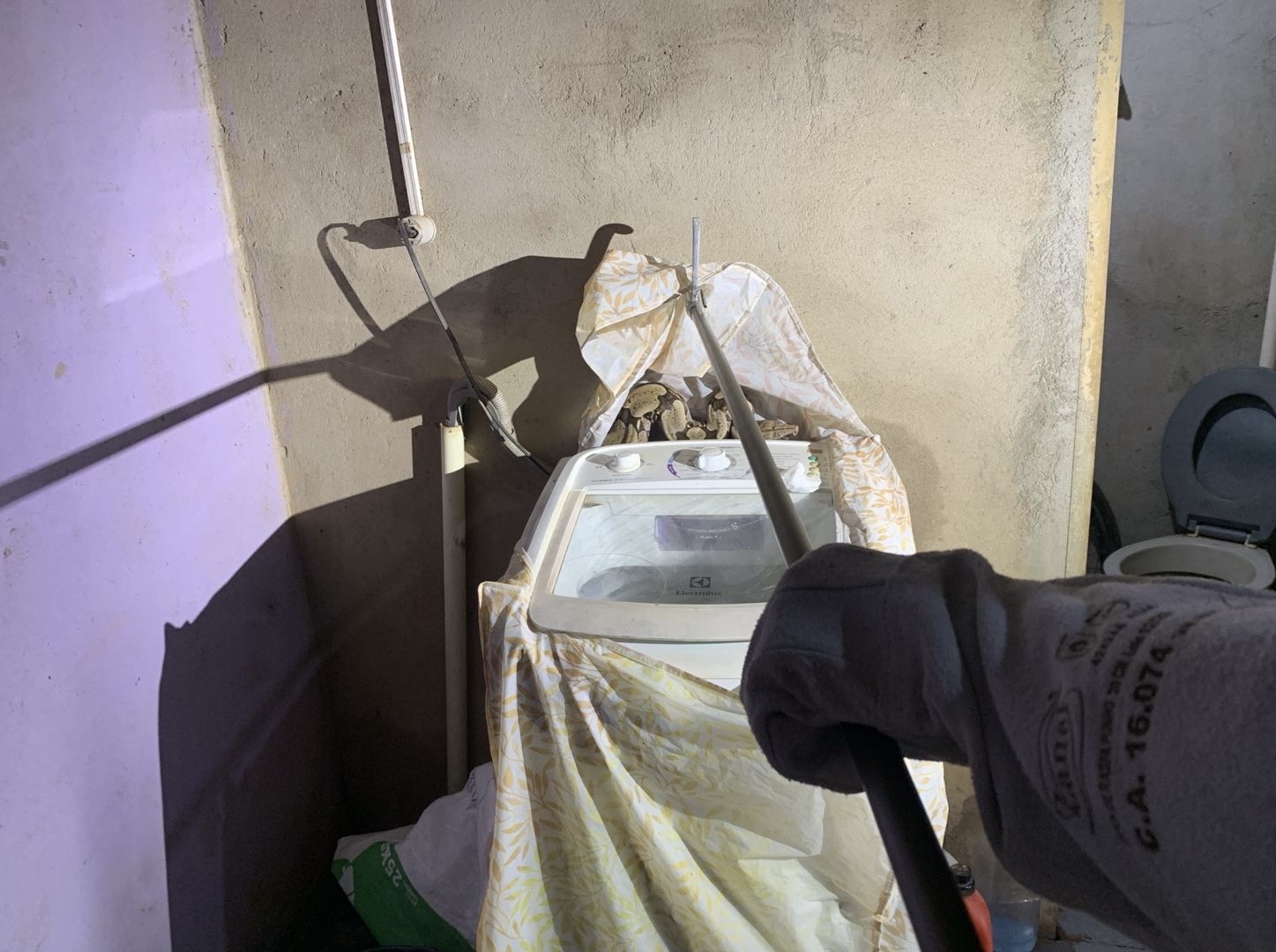 Moradores encontram cobra escondida em máquina de lavar em RO