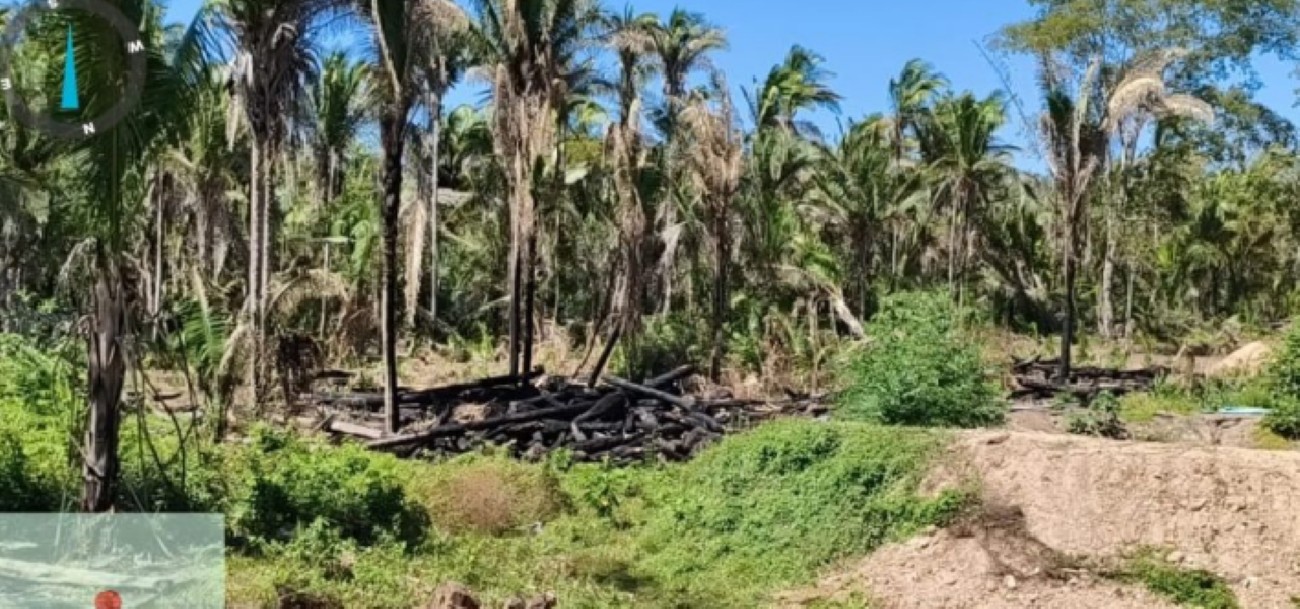 Empresário é denunciado por danos ambientais em Passagem Franca