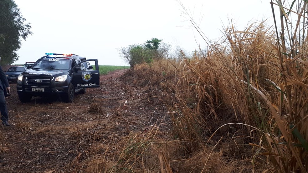 Corpo foi encontrado em uma área de canavial na região de Bariri  — Foto: Polícia Civil / Divulgação 