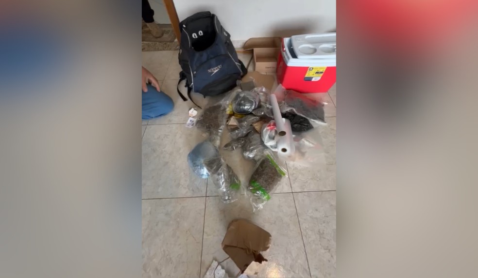 Laboratório de drogas em apartamento é desarticulado em operação da Polícia Civil em Presidente Prudente (SP) — Foto: Polícia Civil/Divulgação