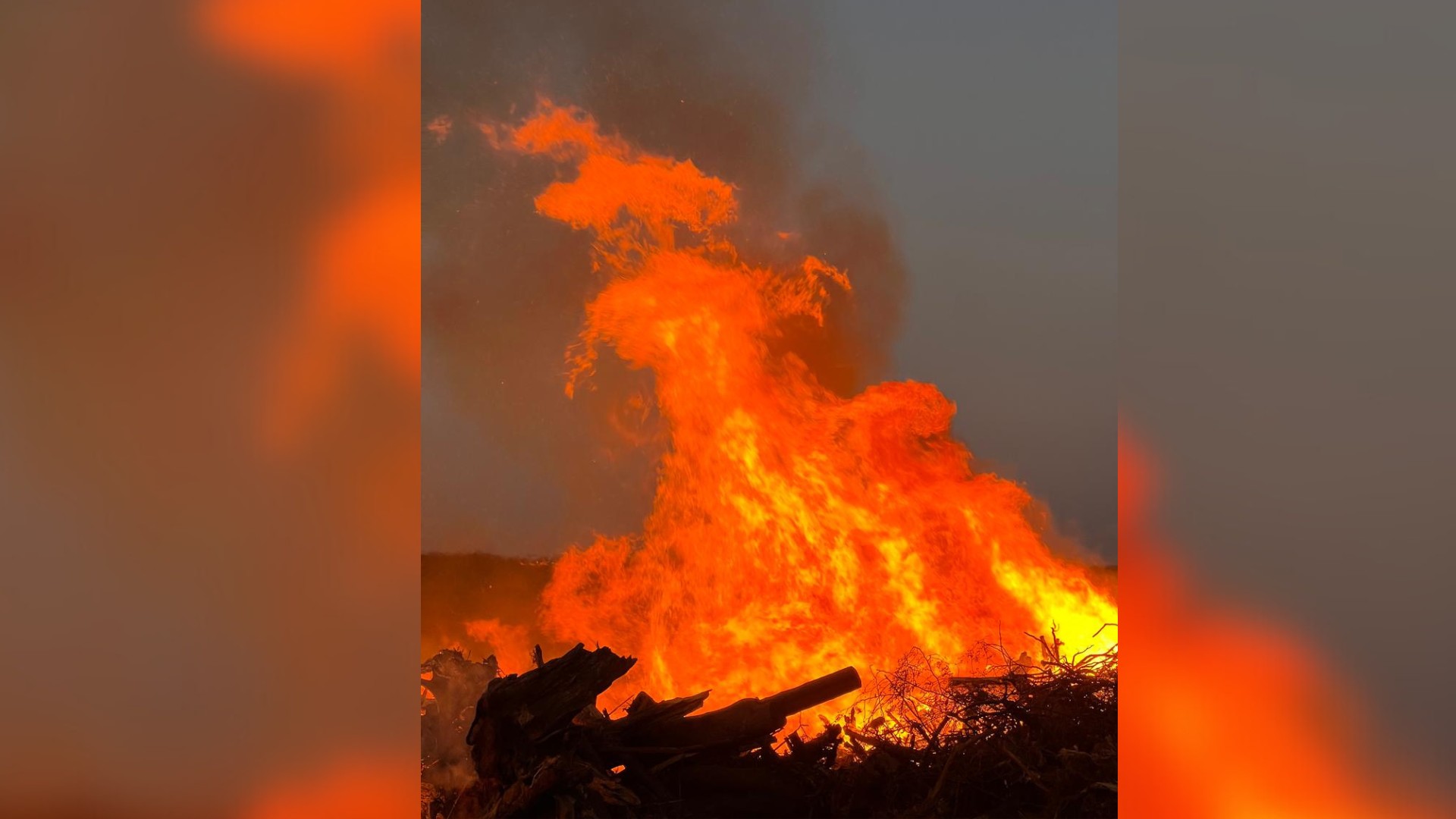 Incêndio atinge cerca de 15 mil metros quadrados de área na Fazenda Municipal em Rio Preto