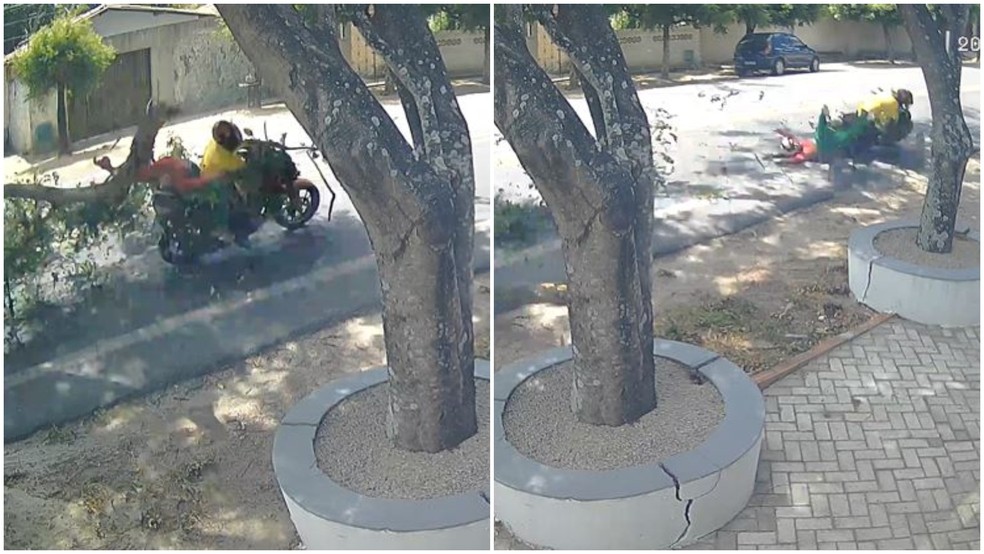 Galho de árvore cai em cima de motociclista e passageira em Itaitinga. — Foto: Reprodução