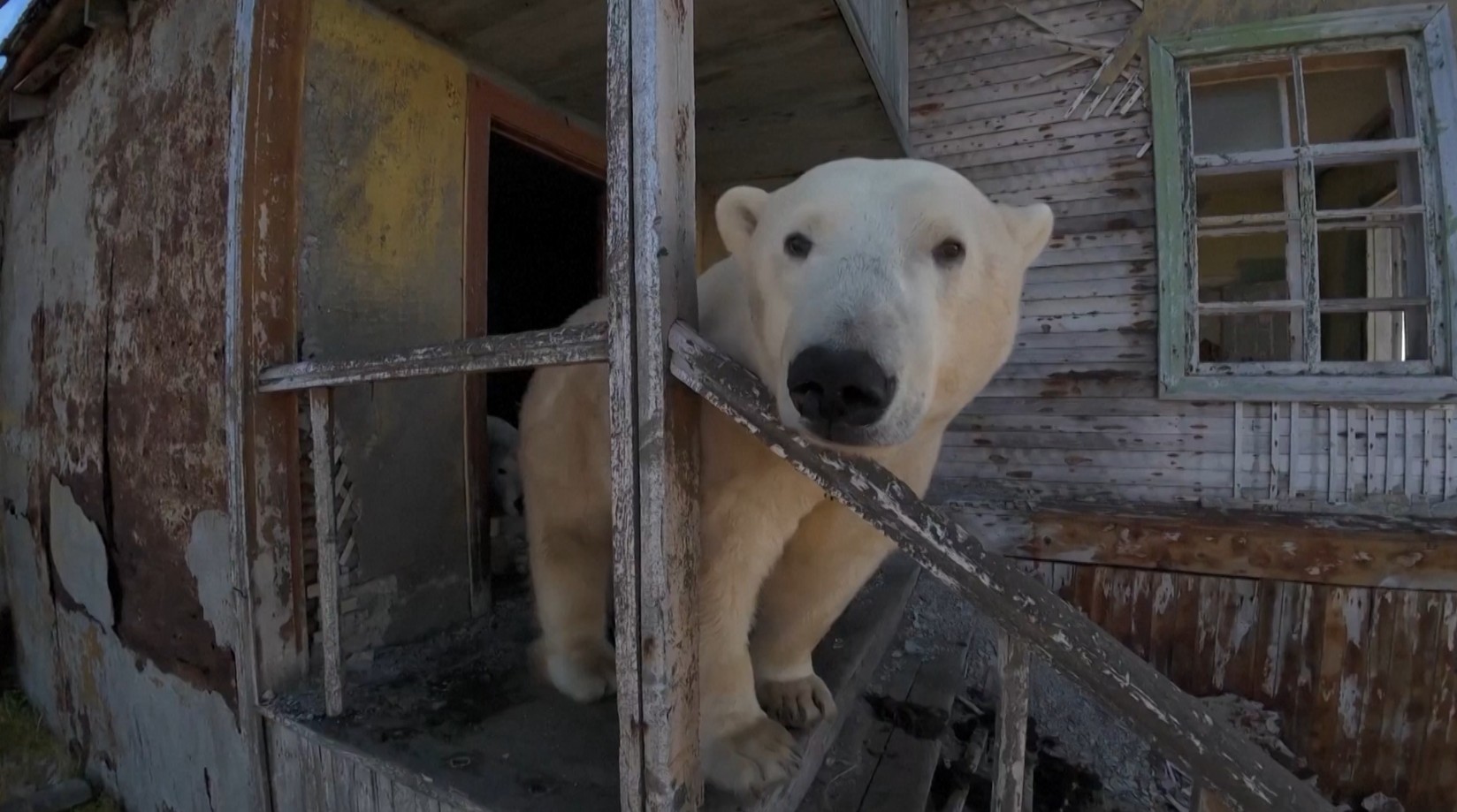 Você Não Tá Convidada pro Meu Bat Mitzvá!