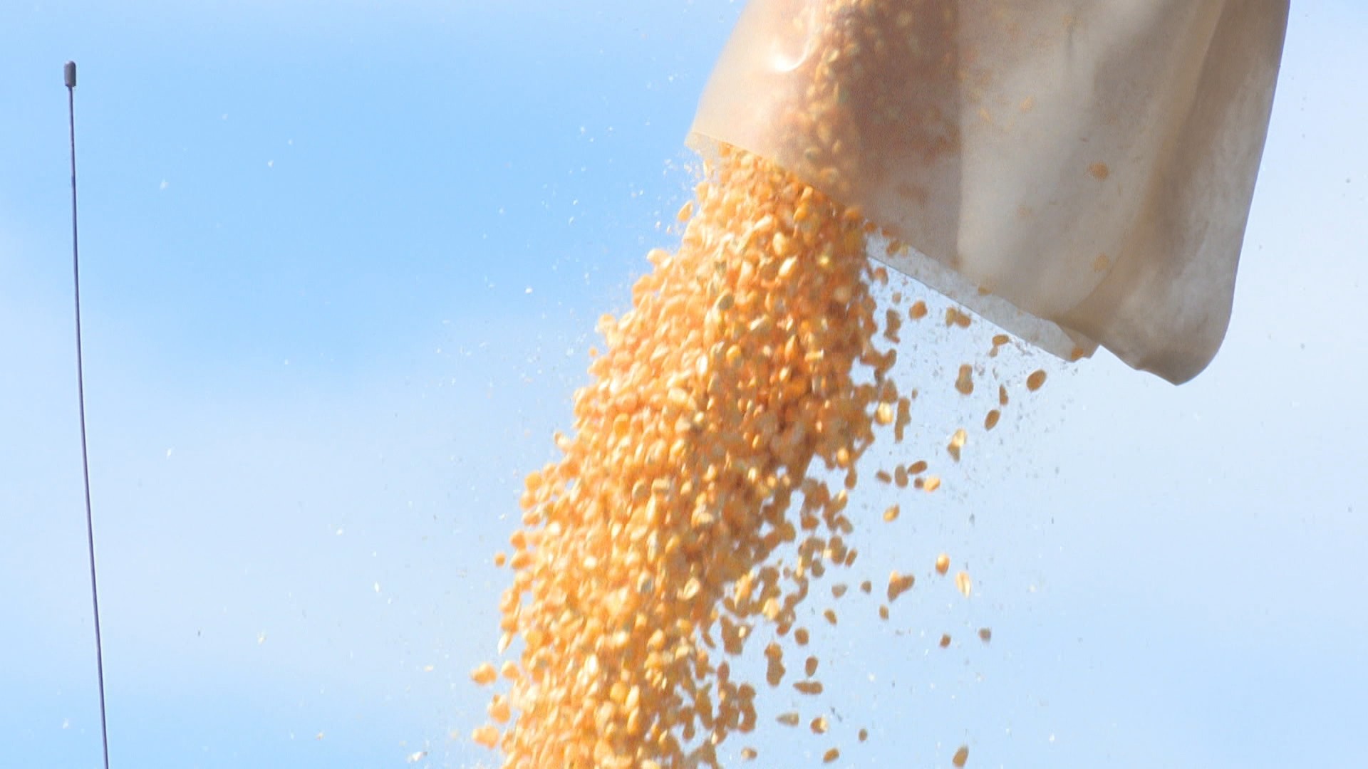 Trump quer punir quem fizer comércio com o Irã: quais produtos do agro o Brasil compra e vende para lá?