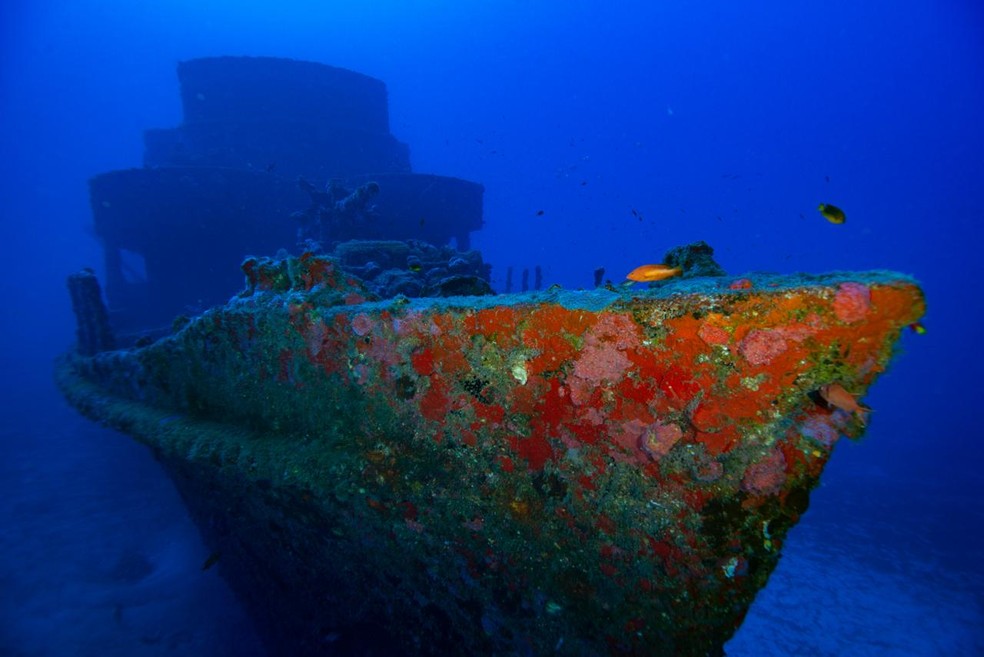 Mergulho aconteceu na Corveta Ipiranga — Foto: Zaira Matheus/Acervo pessoal