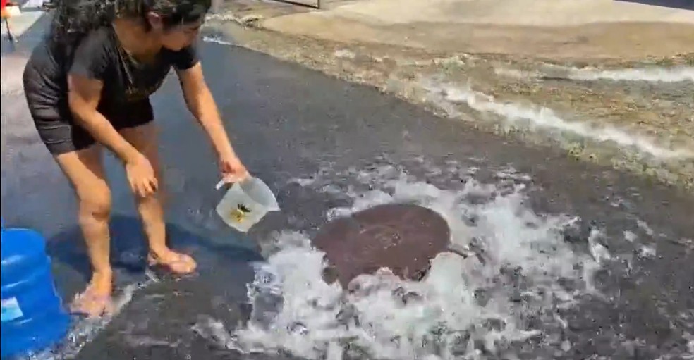 Falta de água em Guarulhos (SP) — Foto: Reprodução