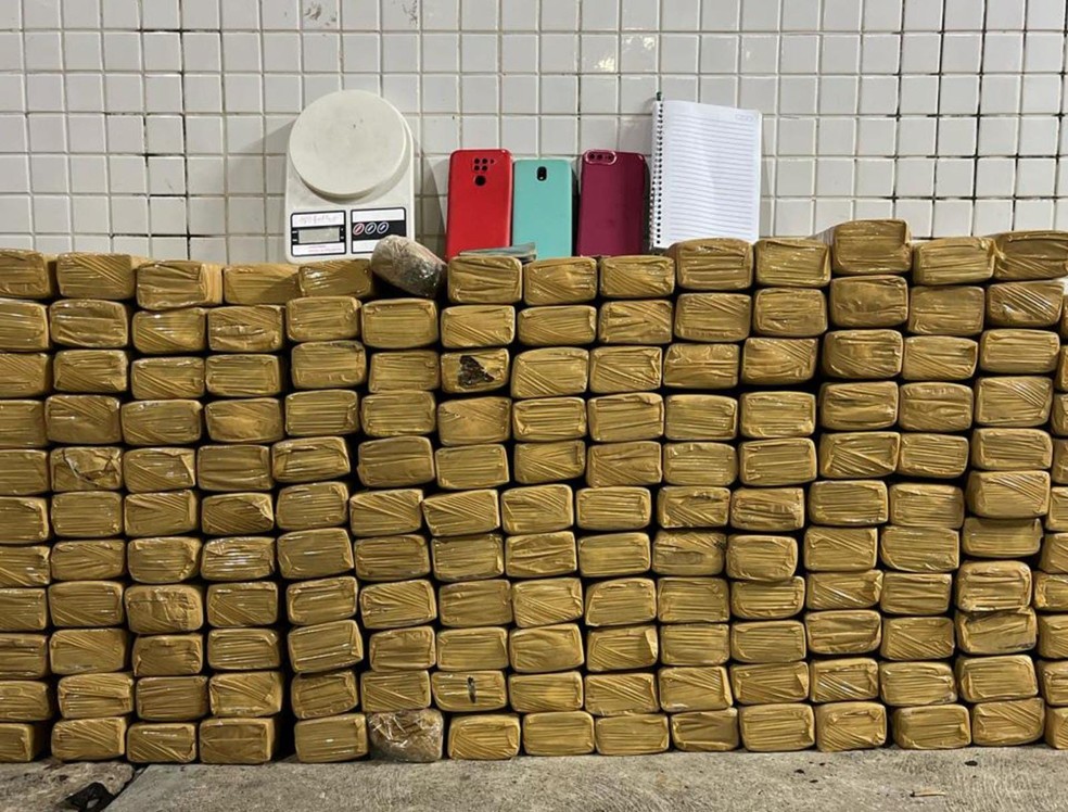 Um homem foi preso e 163 kg de maconha foram apreendidos em imóvel de Salvador — Foto: Divulgação/SSP-BA
