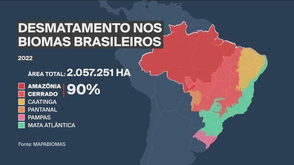 Desmatamento nos biomas brasileiros em 2022 — Foto: Arte/GloboNews