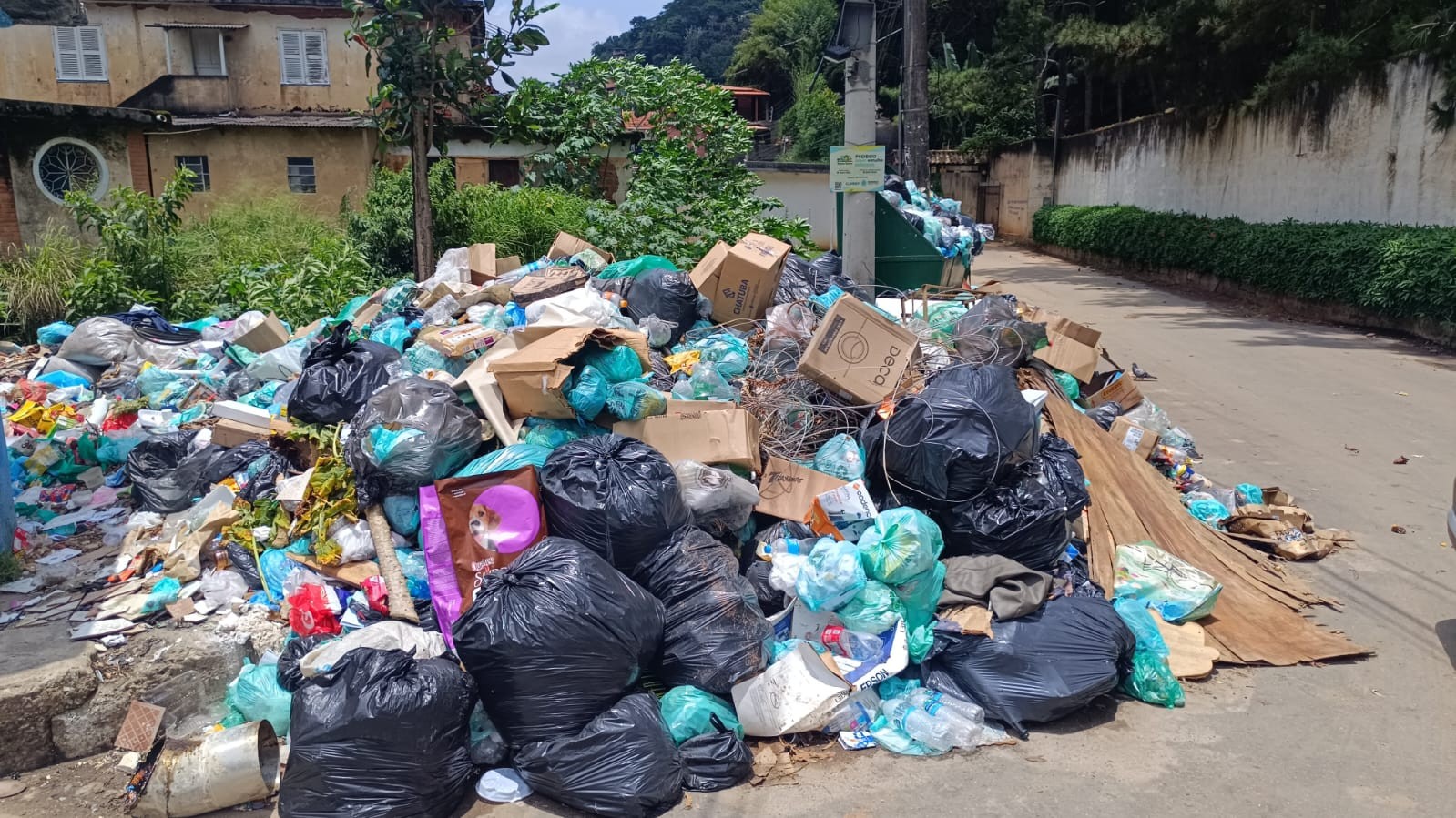 VÍDEO: dezenas de quatis reviram 'montanha' de lixo em Petrópolis; falha na coleta revolta moradores