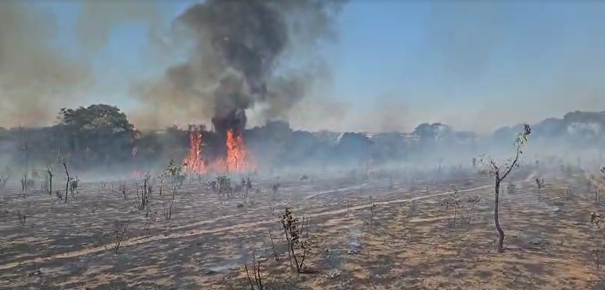 VÍDEO: Fogo atinge área de vegetação próxima a empresas no Distrito Industrial de Uberlândia